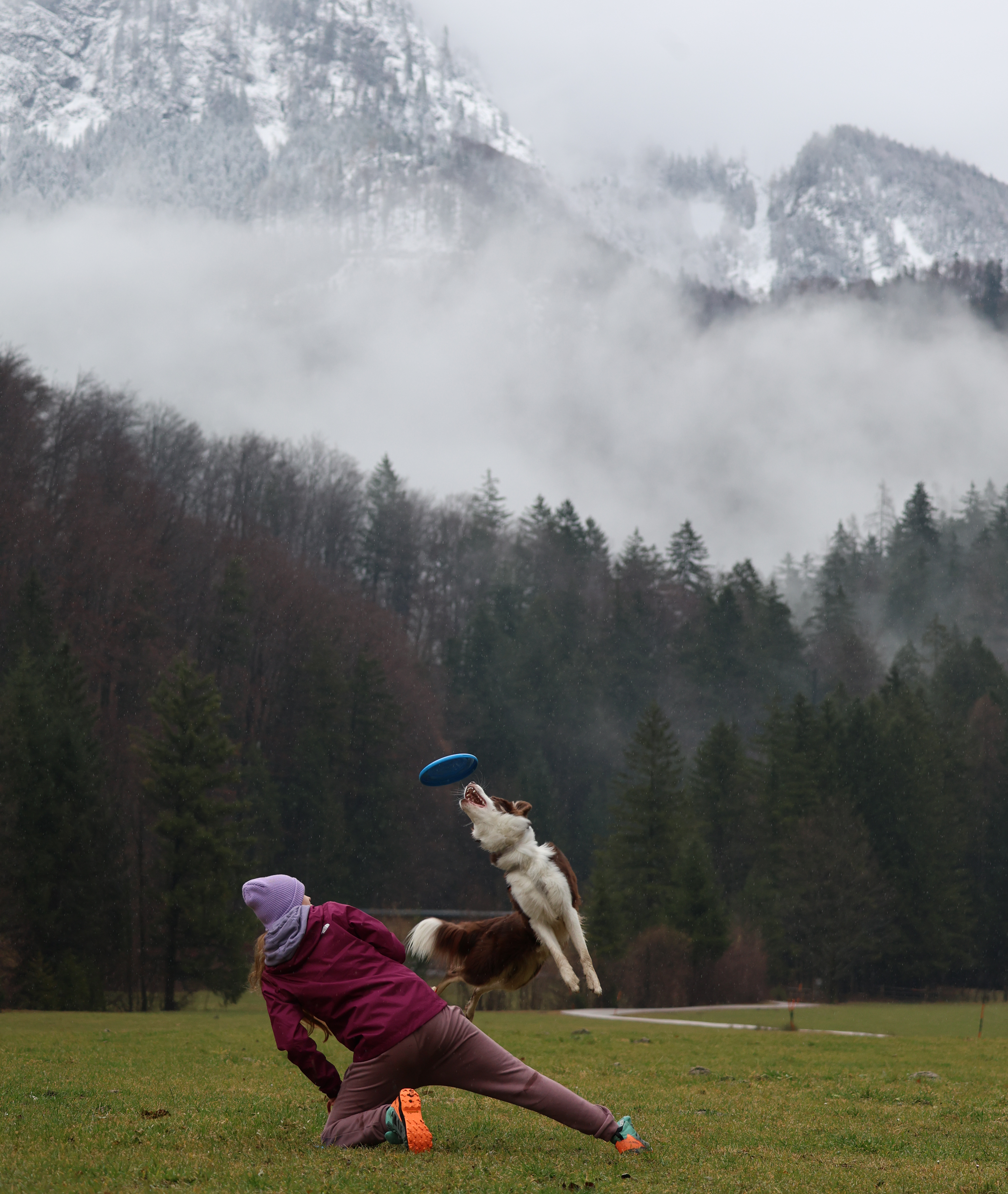 About Us Image - Pet X Webflow Template