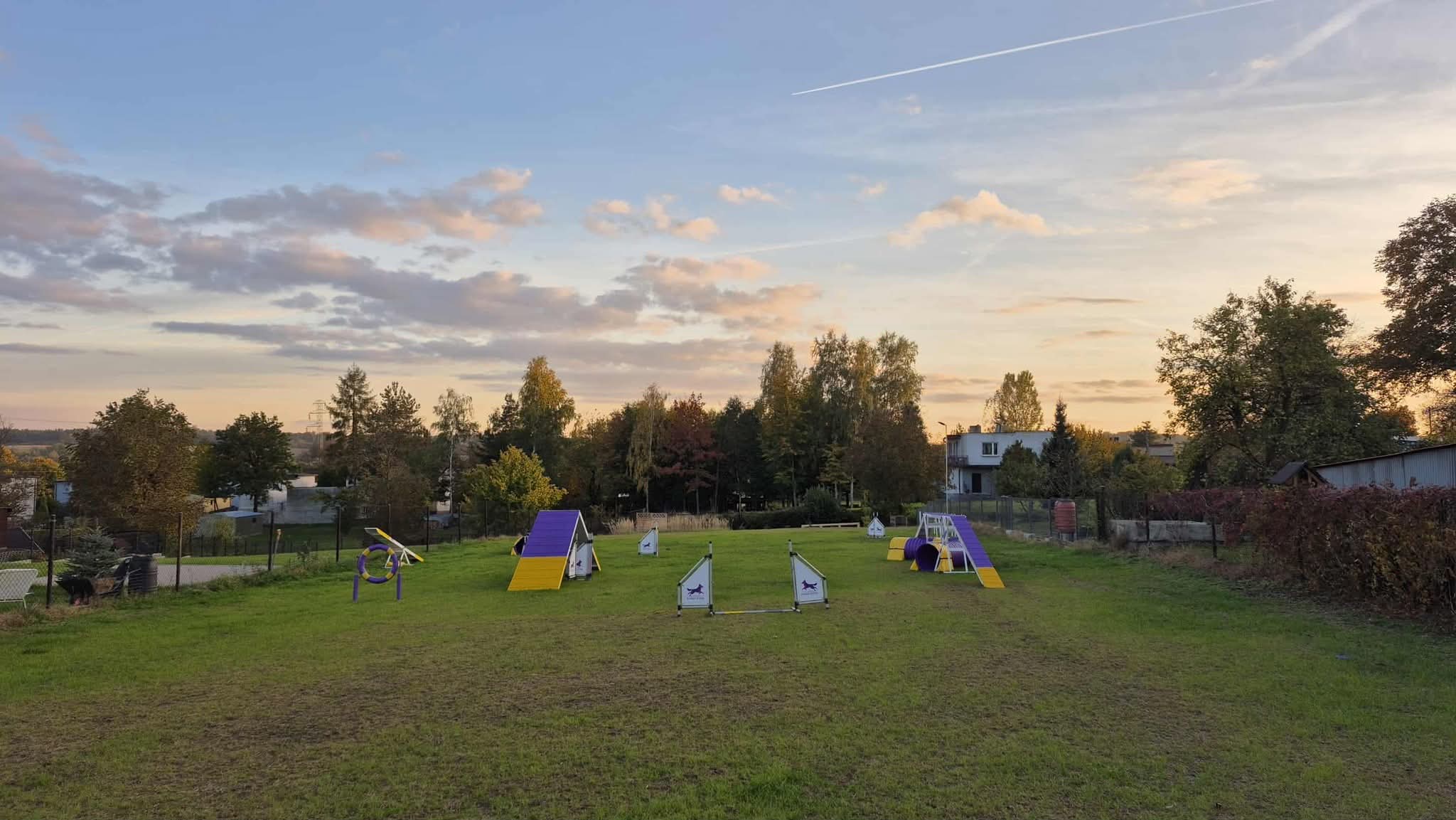 Plac treningowy agility do wynajęcia